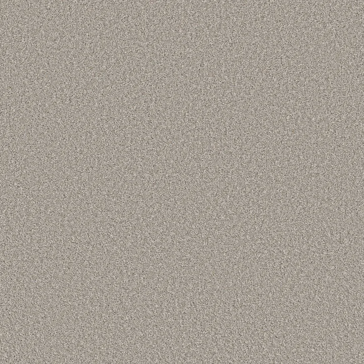 Shaw Floors Refined Beauty — Silver Mist · 5E888-00510 — flooring selection with LeviArs Design & Remodeling
