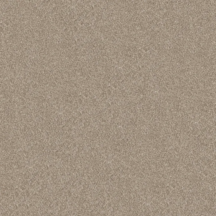 Shaw Floors Refined Beauty — Soft Sand · 5E888-00106 — flooring selection with LeviArs Design & Remodeling