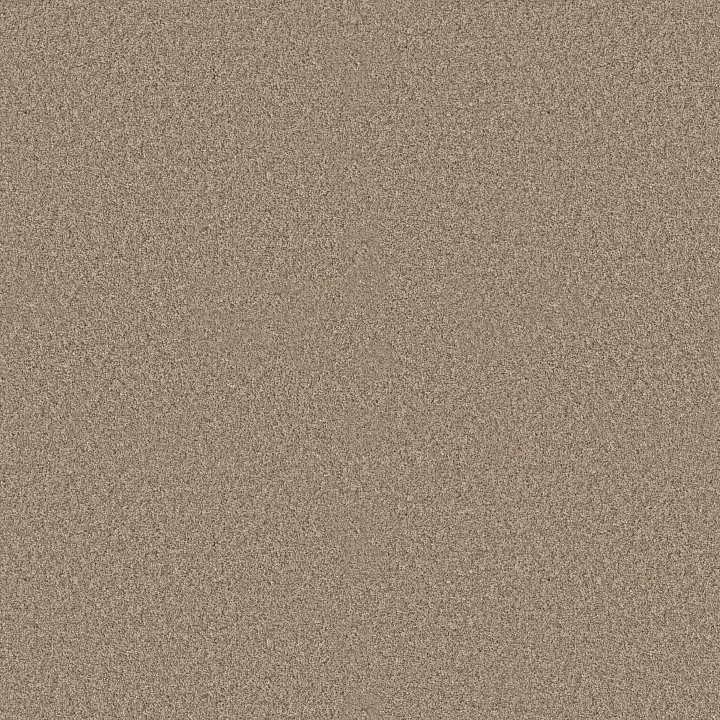 Shaw Floors Refined Beauty — Summer Straw · 5E888-00200 — flooring selection with LeviArs Design & Remodeling