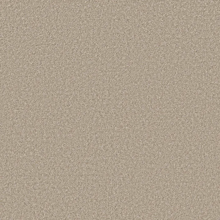 Shaw Floors Refined Beauty — Warm Glow · 5E888-00110 — flooring selection with LeviArs Design & Remodeling