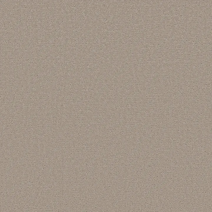 Shaw Floors Refined Canvas — Back Patio · 5E969-00724 — flooring selection with LeviArs Design & Remodeling