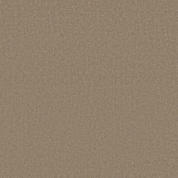 Shaw Floors Refined Canvas — Camping Trip · 5E969-00749 — flooring selection with LeviArs Design & Remodeling