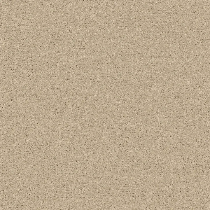 Shaw Floors Refined Canvas — Dinner With Friends · 5E969-00732 — flooring selection with LeviArs Design & Remodeling