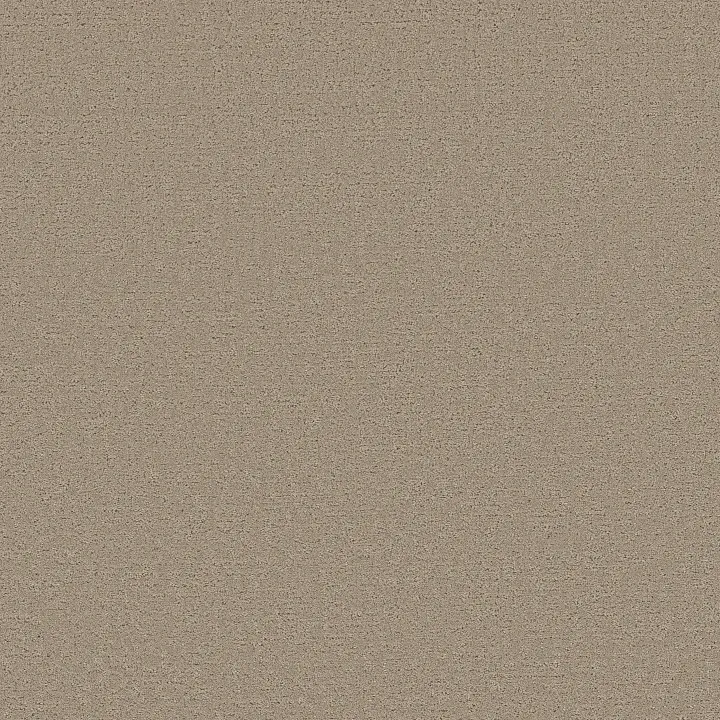 Shaw Floors Refined Canvas — Dockside View · 5E969-00722 — flooring selection with LeviArs Design & Remodeling