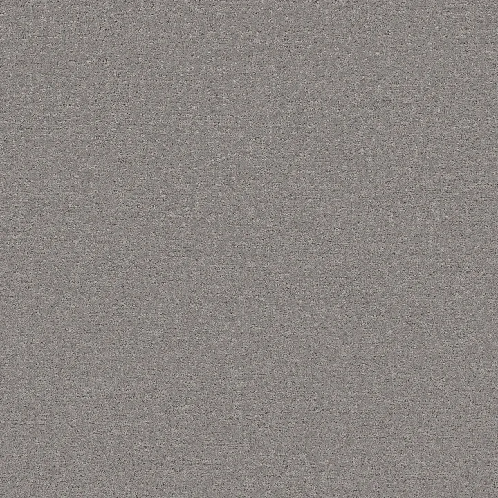 Shaw Floors Refined Canvas — Dolphin Sighting · 5E969-00510 — flooring selection with LeviArs Design & Remodeling