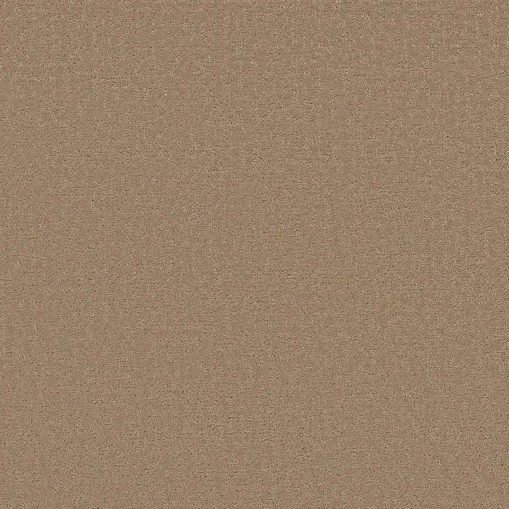 Shaw Floors Refined Canvas — Falling Leaves · 5E969-00720 — flooring selection with LeviArs Design & Remodeling
