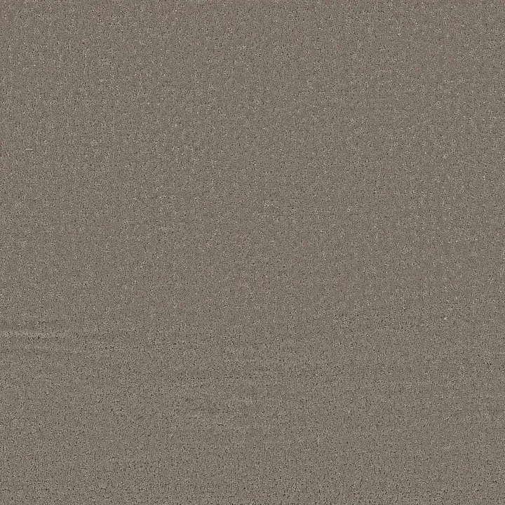 Shaw Floors Refined Canvas — French Market · 5E969-00752 — flooring selection with LeviArs Design & Remodeling