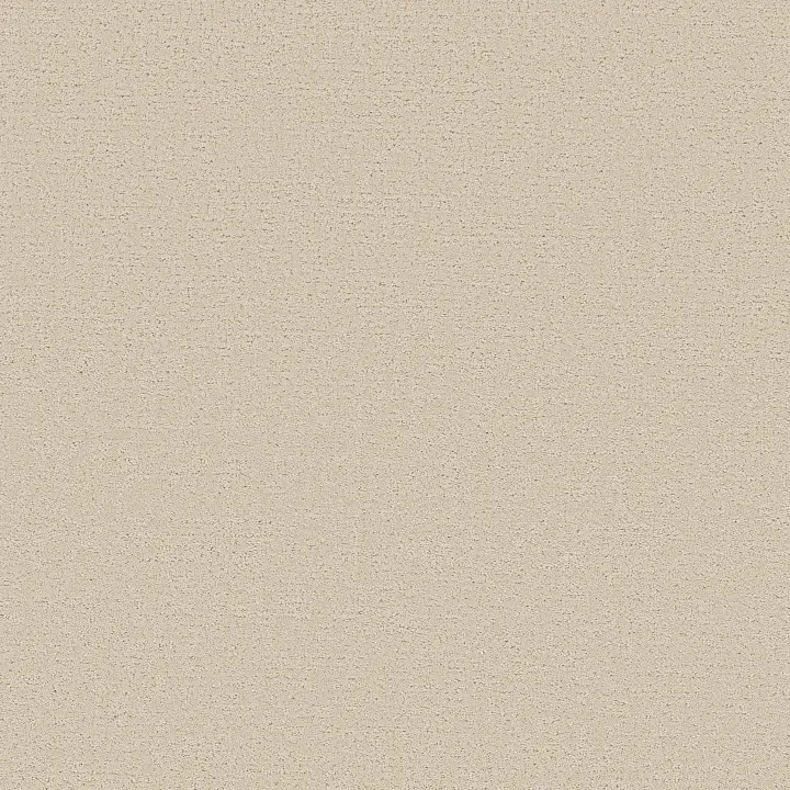 Shaw Floors Refined Canvas — Homemade Ice Cream · 5E969-00124 — flooring selection with LeviArs Design & Remodeling