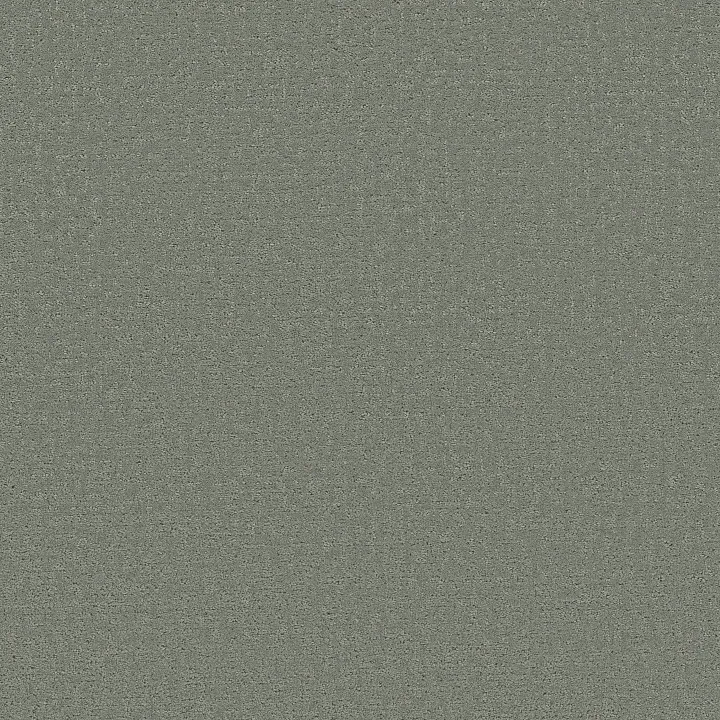 Shaw Floors Refined Canvas — Meadow · 5E969-00328 — flooring selection with LeviArs Design & Remodeling