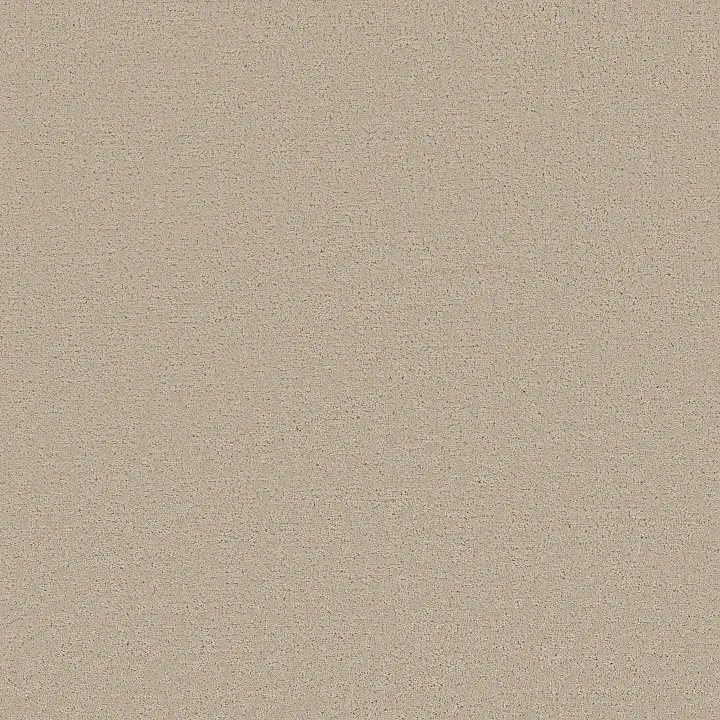 Shaw Floors Refined Canvas — My Haven · 5E969-00743 — flooring selection with LeviArs Design & Remodeling