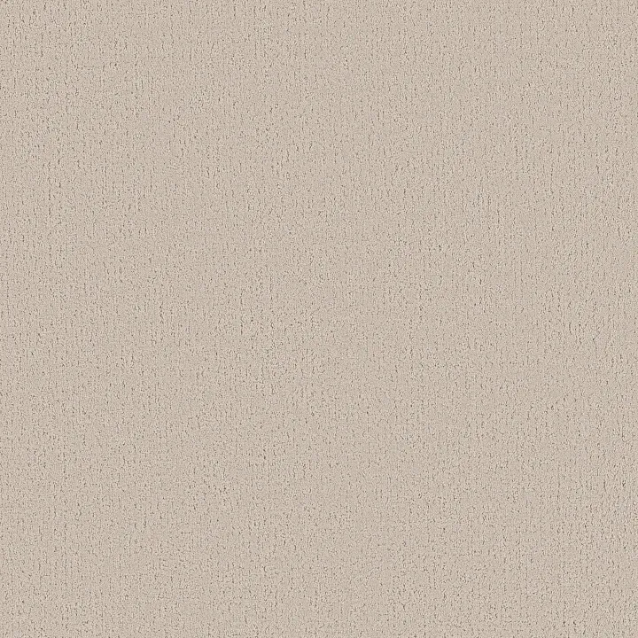 Shaw Floors Refined Canvas — Need A Hug · 5E969-00129 — flooring selection with LeviArs Design & Remodeling
