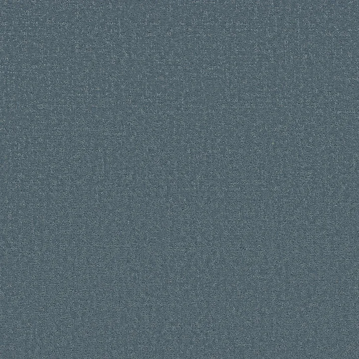 Shaw Floors Refined Canvas — Surf Lessons · 5E969-00422 — flooring selection with LeviArs Design & Remodeling