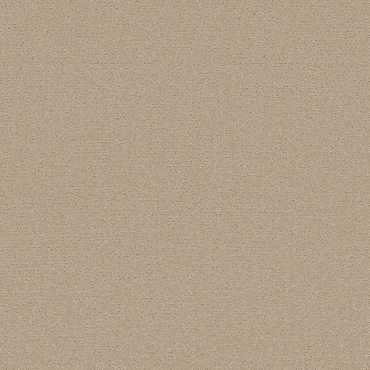 Shaw Floors Refined Canvas — Walk On The Beach · 5E969-00721 — flooring selection with LeviArs Design & Remodeling