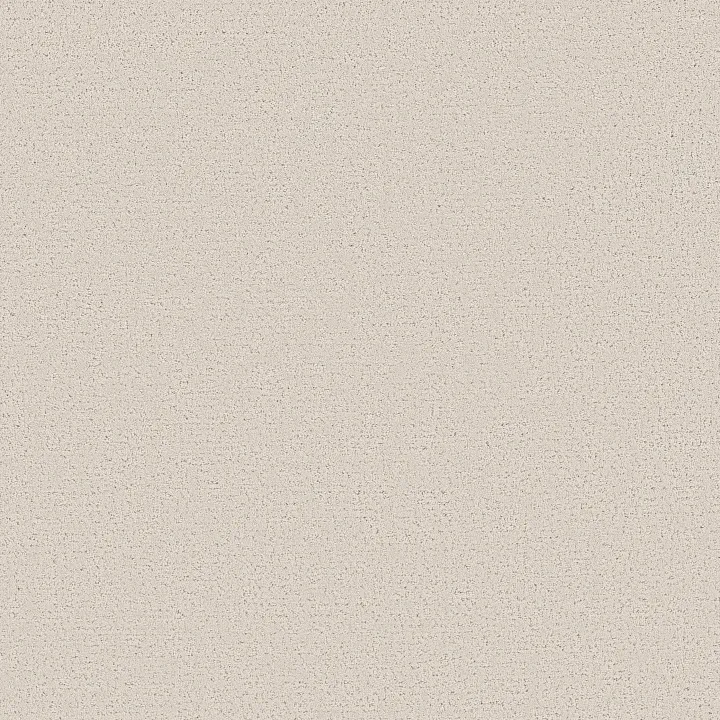 Shaw Floors Refined Canvas — Whitewashed Frame · 5E969-00154 — flooring selection with LeviArs Design & Remodeling