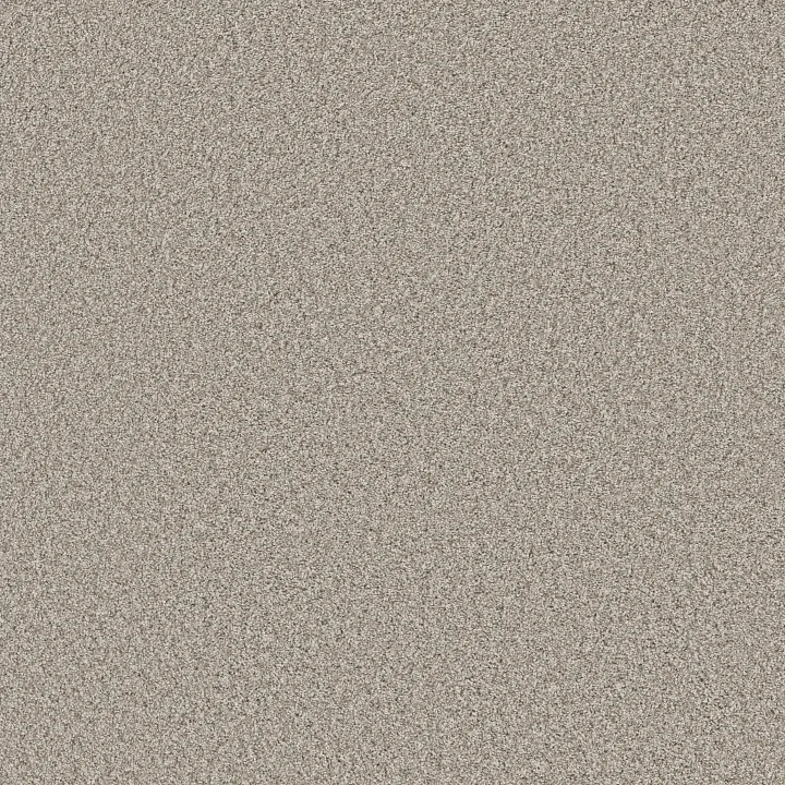 Shaw Floors Soft Radiance — Dawn Beige · 5E784-00115 — flooring selection with LeviArs Design & Remodeling