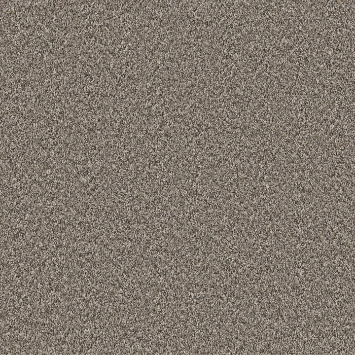 Shaw Floors Soft Radiance — Mushroom · 5E784-00111 — flooring selection with LeviArs Design & Remodeling