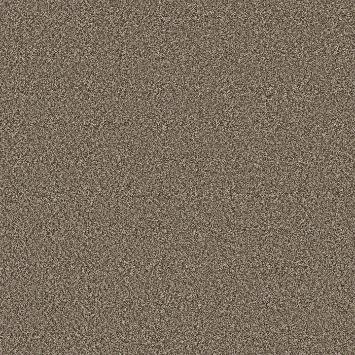 Shaw Floors Remixed Classic — Dry Creek · 5E679-00715 — flooring selection with LeviArs Design & Remodeling