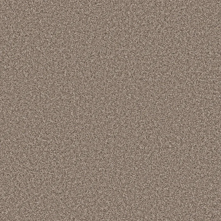 Shaw Floors Soft Radiance — Folklore · 5E784-00101 — flooring selection with LeviArs Design & Remodeling