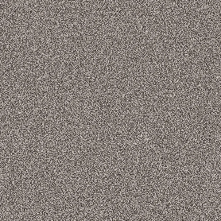 Shaw Floors Remixed Classic — Mineral · 5E679-00522 — flooring selection with LeviArs Design & Remodeling