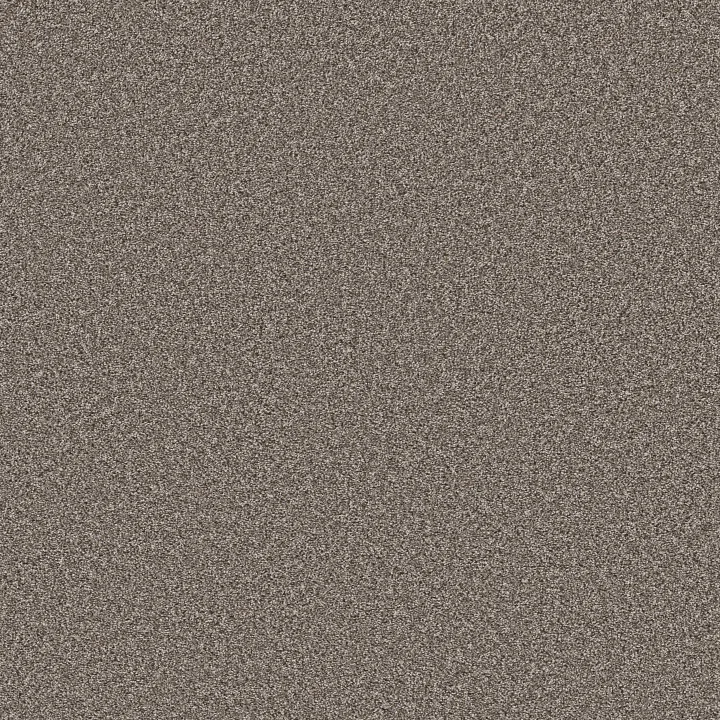 Shaw Floors Remixed Classic — Nature Trail · 5E679-00700 — flooring selection with LeviArs Design & Remodeling