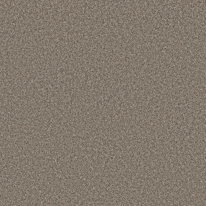 Shaw Floors Soft Radiance — Nutria · 5E784-00102 — flooring selection with LeviArs Design & Remodeling