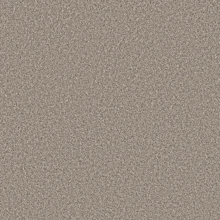 Shaw Floors Remixed Classic — Pebble · 5E679-00115 — flooring selection with LeviArs Design & Remodeling