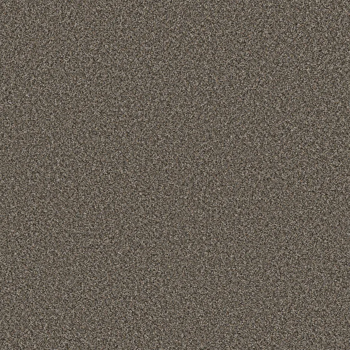 Shaw Floors Remixed Classic — Rock Garden · 5E679-00716 — flooring selection with LeviArs Design & Remodeling