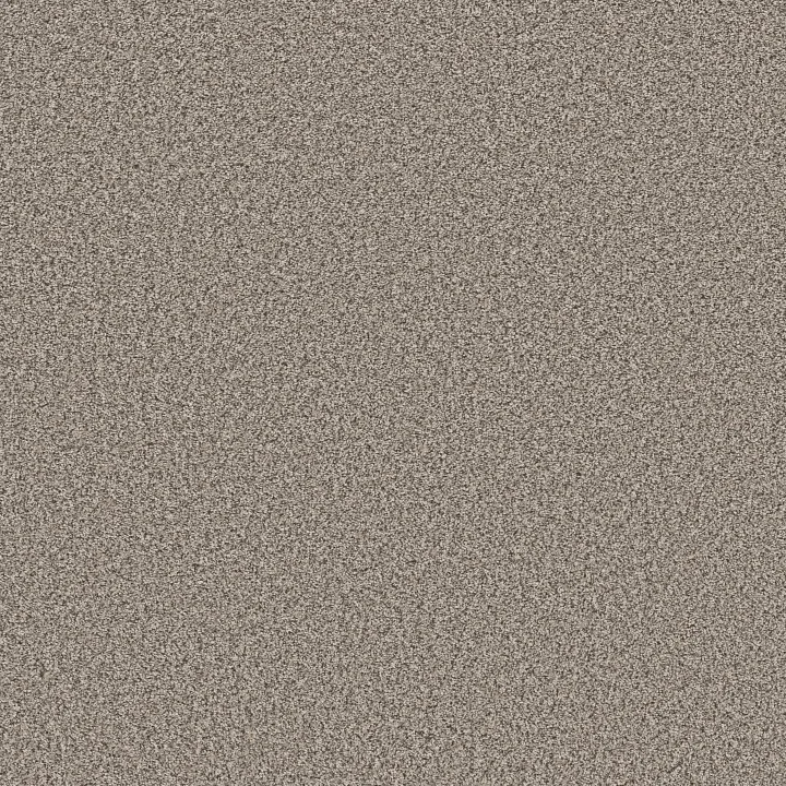 Shaw Floors Soft Radiance — Overcast · 5E784-00510 — flooring selection with LeviArs Design & Remodeling