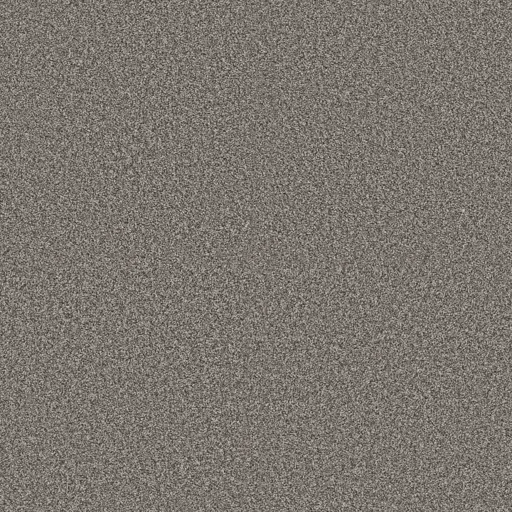 Shaw Floors Renewed Energy I — Cityscape · 5E671-00519 — flooring selection with LeviArs Design & Remodeling