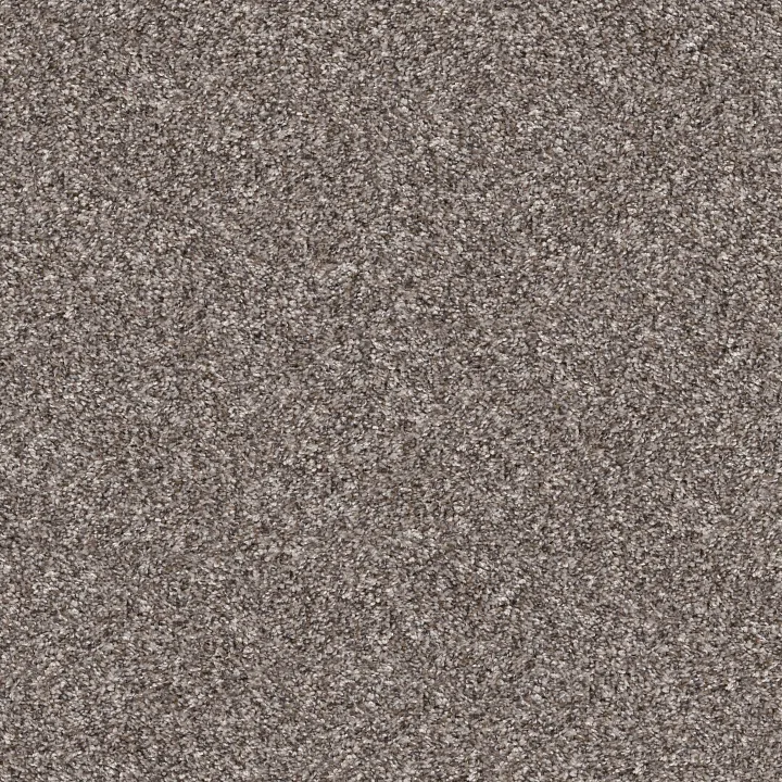 Shaw Floors Renewed Energy I — Fog · 5E671-00503 — flooring selection with LeviArs Design & Remodeling