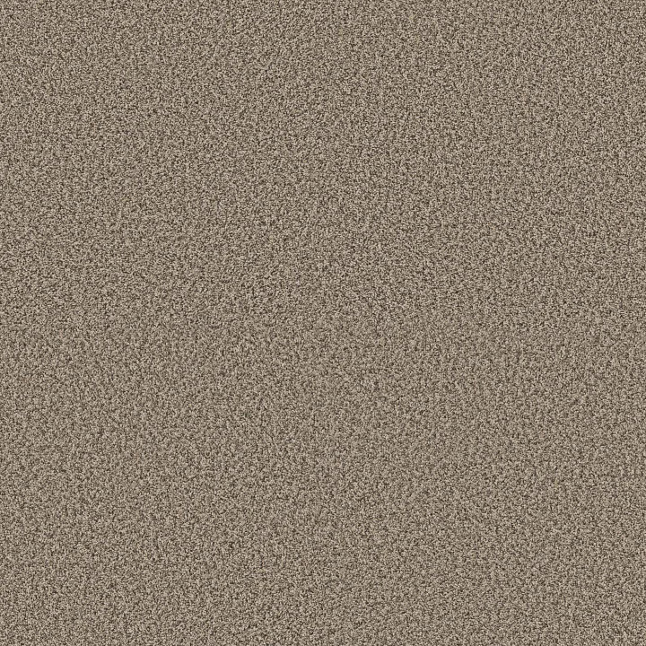 Shaw Floors Renewed Energy I — Khaki · 5E671-00700 — flooring selection with LeviArs Design & Remodeling