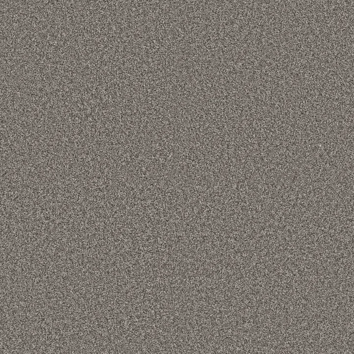 Shaw Floors Renewed Energy II — Cityscape · 5E672-00519 — flooring selection with LeviArs Design & Remodeling