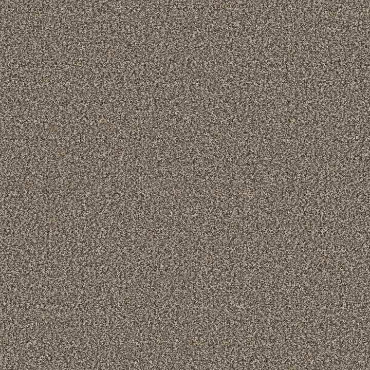 Shaw Floors Renewed Energy II — Countryside · 5E672-00122 — flooring selection with LeviArs Design & Remodeling