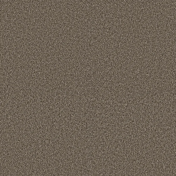 Shaw Floors Renewed Energy II — Fence Post · 5E672-00715 — flooring selection with LeviArs Design & Remodeling
