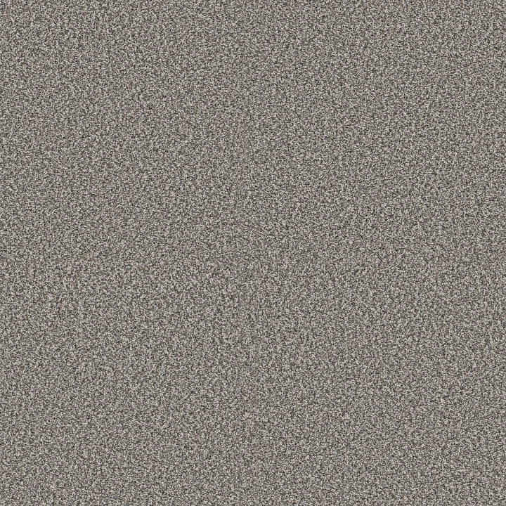 Shaw Floors Renewed Energy II — Fog · 5E672-00503 — flooring selection with LeviArs Design & Remodeling