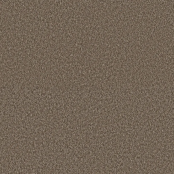 Shaw Floors Renewed Energy II — Freckles · 5E672-00109 — flooring selection with LeviArs Design & Remodeling