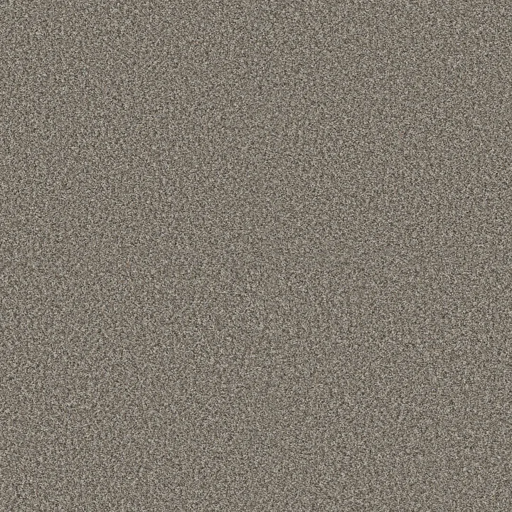 Shaw Floors Renewed Energy II — Granite · 5E672-00121 — flooring selection with LeviArs Design & Remodeling