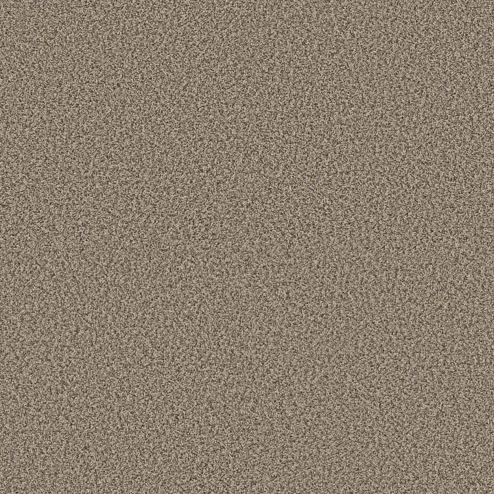 Shaw Floors Renewed Energy II — Khaki · 5E672-00700 — flooring selection with LeviArs Design & Remodeling