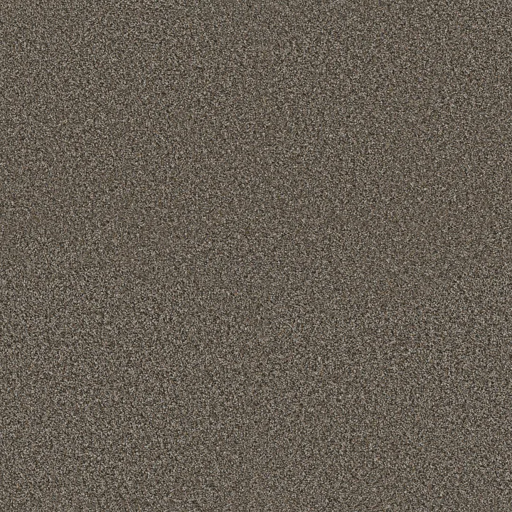 Shaw Floors Renewed Energy II — Mineral Bed · 5E672-00716 — flooring selection with LeviArs Design & Remodeling