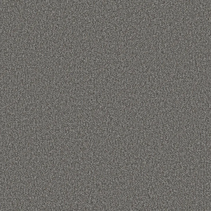 Shaw Floors Renewed Energy II — Paris Sky · 5E672-00413 — flooring selection with LeviArs Design & Remodeling