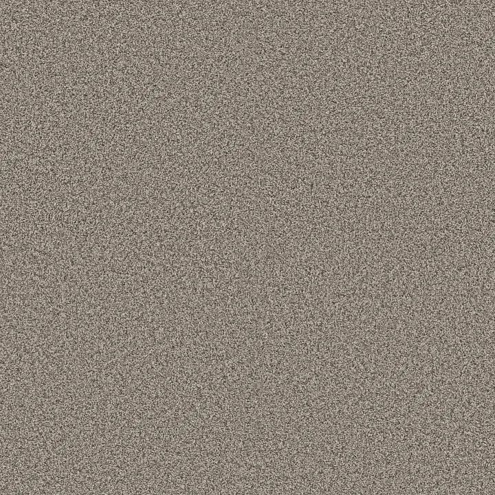 Shaw Floors Renewed Energy II — Prairie Run · 5E672-00126 — flooring selection with LeviArs Design & Remodeling