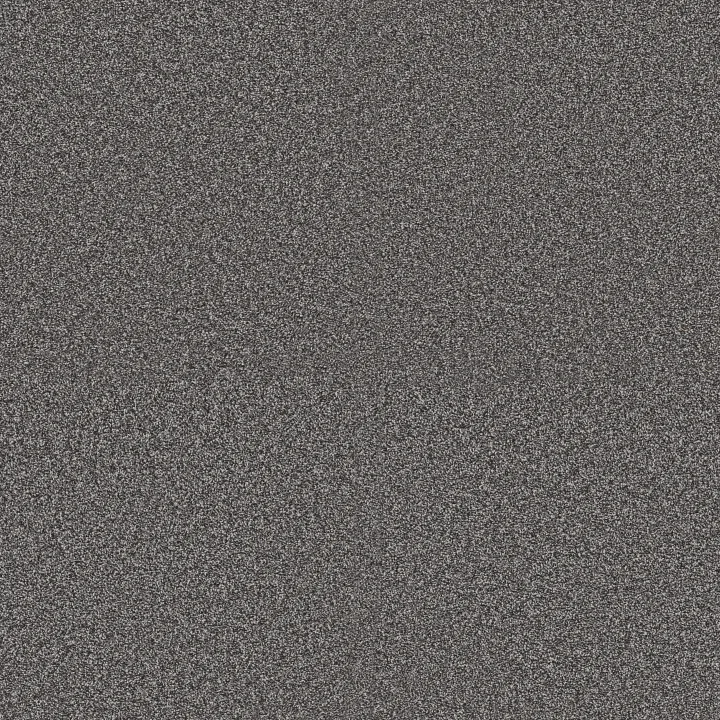 Shaw Floors Renewed Energy II — River Rock · 5E672-00512 — flooring selection with LeviArs Design & Remodeling