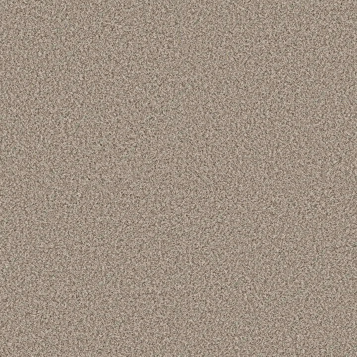 Shaw Floors Renewed Energy II — Sandstone · 5E672-00119 — flooring selection with LeviArs Design & Remodeling