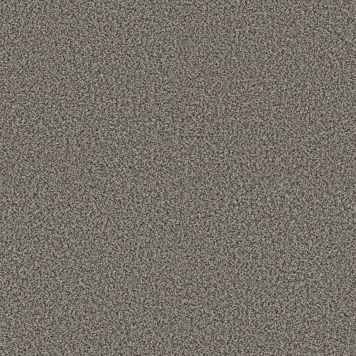 Shaw Floors Renewed Energy II — Shadow · 5E672-00504 — flooring selection with LeviArs Design & Remodeling