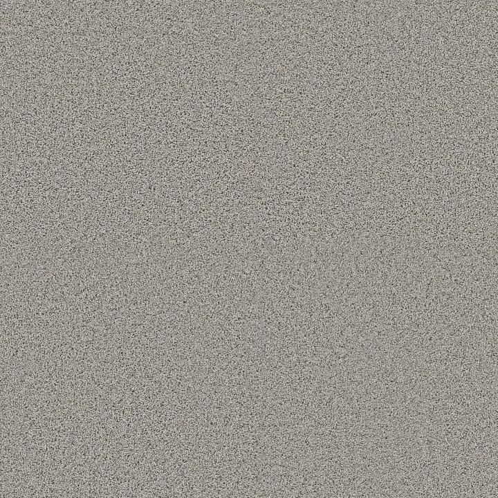 Shaw Floors Renewed Energy II — Thin Ice · 5E672-00518 — flooring selection with LeviArs Design & Remodeling