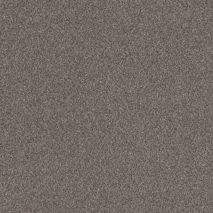 Shaw Floors Right Choice — Baltic Stone · 5E542-00111 — flooring selection with LeviArs Design & Remodeling