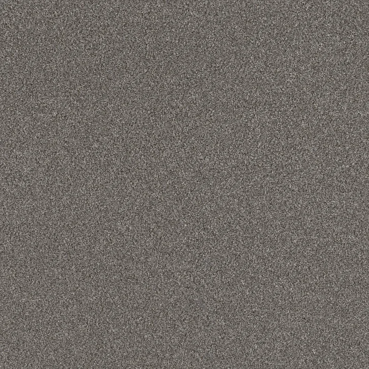 Shaw Floors Right Choice — Dovetail · 5E542-00510 — flooring selection with LeviArs Design & Remodeling