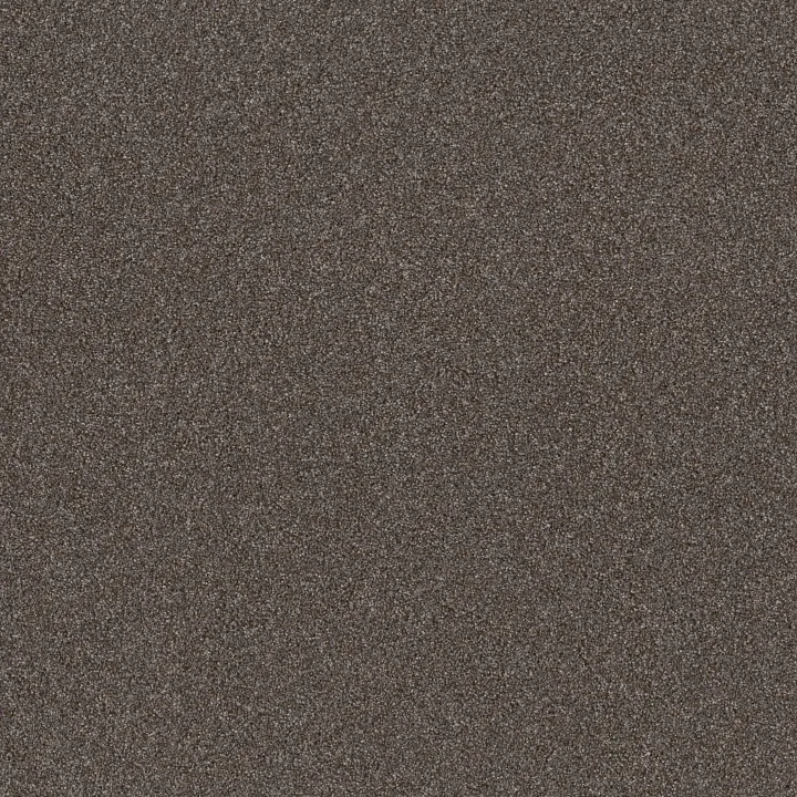 Shaw Floors Right Choice — Folkstone · 5E542-00711 — flooring selection with LeviArs Design & Remodeling