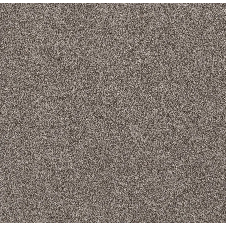 Shaw Floors Right Choice — Gallery Opening · 5E542-00110 — flooring selection with LeviArs Design & Remodeling