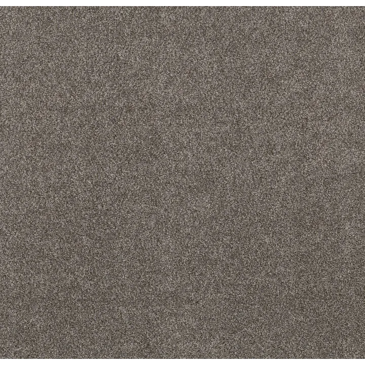 Shaw Floors Right Choice — Mega Taupe · 5E542-00114 — flooring selection with LeviArs Design & Remodeling